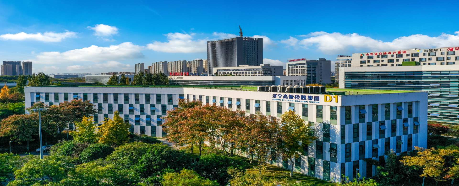 168体育集团